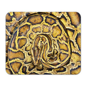 Коврик прямоугольный с принтом Змея в Петрозаводске, натуральный каучук | размер 230 х 185 мм; запечатка лицевой стороны | snake | анаконда | гадюка | змеиная | змея | кобра | кожа | кожура | удав | уж | червь | червяк | яд