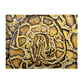 Обложка для студенческого билета с принтом Змея в Петрозаводске, натуральная кожа | Размер: 11*8 см; Печать на всей внешней стороне | Тематика изображения на принте: snake | анаконда | гадюка | змеиная | змея | кобра | кожа | кожура | удав | уж | червь | червяк | яд