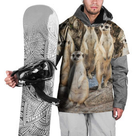 Накидка на куртку 3D с принтом Сурикаты в Петрозаводске, 100% полиэстер |  | животное | зверёк | калахари | мангуст | млекопитающее | сурикат | южная африка