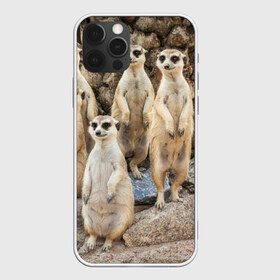 Чехол для iPhone 12 Pro Max с принтом Сурикаты в Петрозаводске, Силикон |  | Тематика изображения на принте: животное | зверёк | калахари | мангуст | млекопитающее | сурикат | южная африка