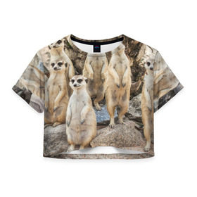 Женская футболка 3D укороченная с принтом Сурикаты в Петрозаводске, 100% полиэстер | круглая горловина, длина футболки до линии талии, рукава с отворотами | животное | зверёк | калахари | мангуст | млекопитающее | сурикат | южная африка
