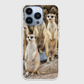 Чехол для iPhone 13 Pro с принтом Сурикаты в Петрозаводске,  |  | животное | зверёк | калахари | мангуст | млекопитающее | сурикат | южная африка