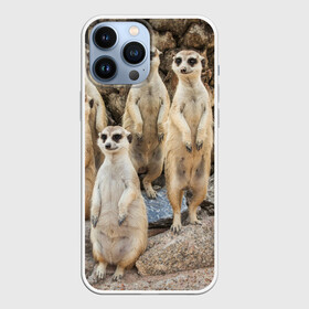 Чехол для iPhone 13 Pro Max с принтом Сурикаты в Петрозаводске,  |  | животное | зверёк | калахари | мангуст | млекопитающее | сурикат | южная африка