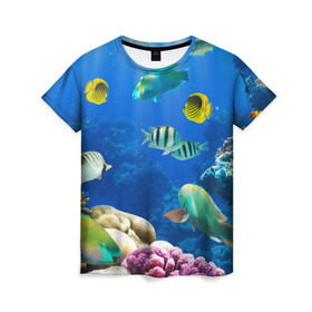 Женская футболка 3D с принтом Дайвинг в Петрозаводске, 100% полиэфир ( синтетическое хлопкоподобное полотно) | прямой крой, круглый вырез горловины, длина до линии бедер | дайвинг | египет | каникулы | коралловый риф | крабы | красное море | море | морские обитатели | океан | отдых | отпуск | подводные красоты | приключение | рыбки | рыбы | туризм