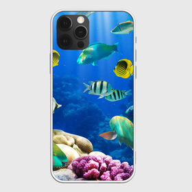 Чехол для iPhone 12 Pro Max с принтом Дайвинг в Петрозаводске, Силикон |  | дайвинг | египет | каникулы | коралловый риф | крабы | красное море | море | морские обитатели | океан | отдых | отпуск | подводные красоты | приключение | рыбки | рыбы | туризм