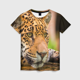 Женская футболка 3D с принтом Леопард в Петрозаводске, 100% полиэфир ( синтетическое хлопкоподобное полотно) | прямой крой, круглый вырез горловины, длина до линии бедер | взгляд | дикий | леопард | ягуар