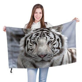 Флаг 3D с принтом Бенгальский тигр в Петрозаводске, 100% полиэстер | плотность ткани — 95 г/м2, размер — 67 х 109 см. Принт наносится с одной стороны | tiger | белый | дикая кошка | тигр | хищник