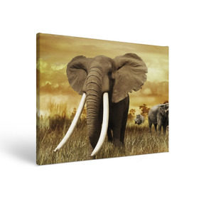Холст прямоугольный с принтом Могучий слон в Петрозаводске, 100% ПВХ |  | elephant | африка | бивни | джунгли | мамонт | савана | сафари | слон | хобот