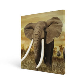 Холст квадратный с принтом Могучий слон в Петрозаводске, 100% ПВХ |  | elephant | африка | бивни | джунгли | мамонт | савана | сафари | слон | хобот
