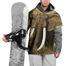 Накидка на куртку 3D с принтом Могучий слон в Петрозаводске, 100% полиэстер |  | elephant | африка | бивни | джунгли | мамонт | савана | сафари | слон | хобот