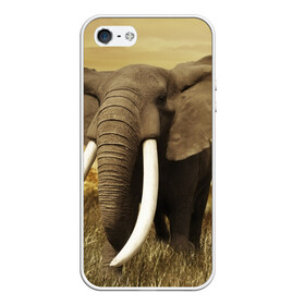 Чехол для iPhone 5/5S матовый с принтом Могучий слон в Петрозаводске, Силикон | Область печати: задняя сторона чехла, без боковых панелей | elephant | африка | бивни | джунгли | мамонт | савана | сафари | слон | хобот