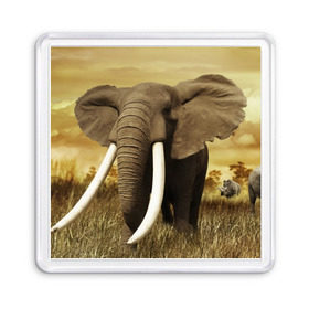 Магнит 55*55 с принтом Могучий слон в Петрозаводске, Пластик | Размер: 65*65 мм; Размер печати: 55*55 мм | elephant | африка | бивни | джунгли | мамонт | савана | сафари | слон | хобот
