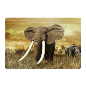 Магнитный плакат 3Х2 с принтом Могучий слон в Петрозаводске, Полимерный материал с магнитным слоем | 6 деталей размером 9*9 см | elephant | африка | бивни | джунгли | мамонт | савана | сафари | слон | хобот