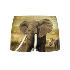 Мужские трусы 3D с принтом Могучий слон в Петрозаводске, 50% хлопок, 50% полиэстер | классическая посадка, на поясе мягкая тканевая резинка | Тематика изображения на принте: elephant | африка | бивни | джунгли | мамонт | савана | сафари | слон | хобот