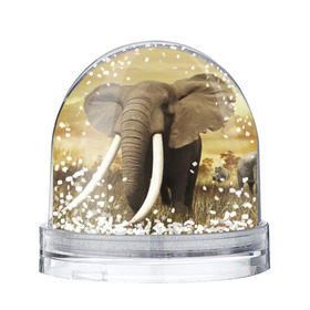 Водяной шар с принтом Могучий слон в Петрозаводске, Пластик | Изображение внутри шара печатается на глянцевой фотобумаге с двух сторон | Тематика изображения на принте: elephant | африка | бивни | джунгли | мамонт | савана | сафари | слон | хобот