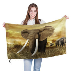 Флаг 3D с принтом Могучий слон в Петрозаводске, 100% полиэстер | плотность ткани — 95 г/м2, размер — 67 х 109 см. Принт наносится с одной стороны | elephant | африка | бивни | джунгли | мамонт | савана | сафари | слон | хобот