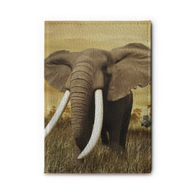 Обложка для автодокументов с принтом Могучий слон в Петрозаводске, натуральная кожа |  размер 19,9*13 см; внутри 4 больших “конверта” для документов и один маленький отдел — туда идеально встанут права | Тематика изображения на принте: elephant | африка | бивни | джунгли | мамонт | савана | сафари | слон | хобот