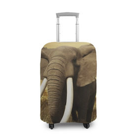 Чехол для чемодана 3D с принтом Могучий слон в Петрозаводске, 86% полиэфир, 14% спандекс | двустороннее нанесение принта, прорези для ручек и колес | elephant | африка | бивни | джунгли | мамонт | савана | сафари | слон | хобот