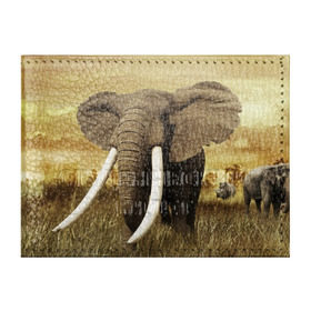Обложка для студенческого билета с принтом Могучий слон в Петрозаводске, натуральная кожа | Размер: 11*8 см; Печать на всей внешней стороне | Тематика изображения на принте: elephant | африка | бивни | джунгли | мамонт | савана | сафари | слон | хобот