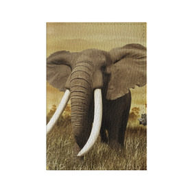Обложка для паспорта матовая кожа с принтом Могучий слон в Петрозаводске, натуральная матовая кожа | размер 19,3 х 13,7 см; прозрачные пластиковые крепления | Тематика изображения на принте: elephant | африка | бивни | джунгли | мамонт | савана | сафари | слон | хобот