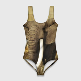 Купальник-боди 3D с принтом Могучий слон в Петрозаводске, 82% полиэстер, 18% эластан | Круглая горловина, круглый вырез на спине | elephant | африка | бивни | джунгли | мамонт | савана | сафари | слон | хобот