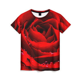 Женская футболка 3D с принтом Роза в Петрозаводске, 100% полиэфир ( синтетическое хлопкоподобное полотно) | прямой крой, круглый вырез горловины, длина до линии бедер | роза | розовая | розы | романтика | цветы