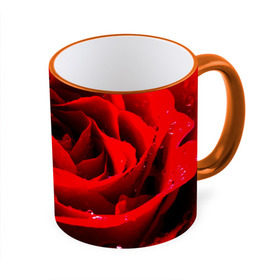 Кружка 3D с принтом Роза в Петрозаводске, керамика | ёмкость 330 мл | Тематика изображения на принте: роза | розовая | розы | романтика | цветы