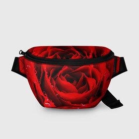Поясная сумка 3D с принтом Роза в Петрозаводске, 100% полиэстер | плотная ткань, ремень с регулируемой длиной, внутри несколько карманов для мелочей, основное отделение и карман с обратной стороны сумки застегиваются на молнию | роза | розовая | розы | романтика | цветы