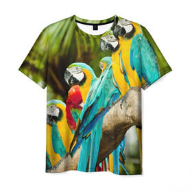 Мужская футболка 3D с принтом Попугаи на ветке в Петрозаводске, 100% полиэфир | прямой крой, круглый вырез горловины, длина до линии бедер | джунгли | клюв | острова | перья | попугай | птица | тропики | экзотика