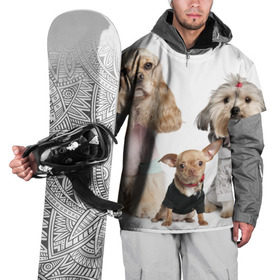 Накидка на куртку 3D с принтом Дивные собачки в Петрозаводске, 100% полиэстер |  | весёлый | животное | зверёк | игривый | классный | красивый | лучший друг человека | любимец | милый | охрана | пёс | питомец | прикольный | смешной | собака | собачонка | ум | щенок | щеночек