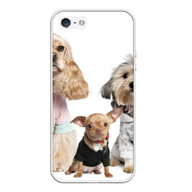 Чехол для iPhone 5/5S матовый с принтом Дивные собачки в Петрозаводске, Силикон | Область печати: задняя сторона чехла, без боковых панелей | весёлый | животное | зверёк | игривый | классный | красивый | лучший друг человека | любимец | милый | охрана | пёс | питомец | прикольный | смешной | собака | собачонка | ум | щенок | щеночек