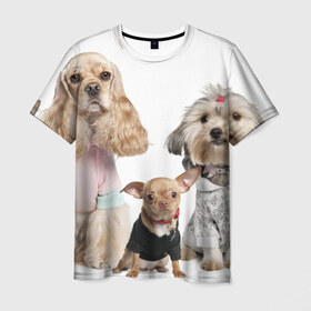 Мужская футболка 3D с принтом Дивные собачки в Петрозаводске, 100% полиэфир | прямой крой, круглый вырез горловины, длина до линии бедер | весёлый | животное | зверёк | игривый | классный | красивый | лучший друг человека | любимец | милый | охрана | пёс | питомец | прикольный | смешной | собака | собачонка | ум | щенок | щеночек