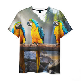 Мужская футболка 3D с принтом Экзотические попугаи в Петрозаводске, 100% полиэфир | прямой крой, круглый вырез горловины, длина до линии бедер | джунгли | клюв | острова | перья | попугай | птица | тропики | экзотика