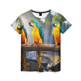 Женская футболка 3D с принтом Экзотические попугаи в Петрозаводске, 100% полиэфир ( синтетическое хлопкоподобное полотно) | прямой крой, круглый вырез горловины, длина до линии бедер | джунгли | клюв | острова | перья | попугай | птица | тропики | экзотика