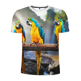 Мужская футболка 3D спортивная с принтом Экзотические попугаи в Петрозаводске, 100% полиэстер с улучшенными характеристиками | приталенный силуэт, круглая горловина, широкие плечи, сужается к линии бедра | джунгли | клюв | острова | перья | попугай | птица | тропики | экзотика
