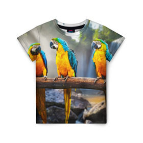 Детская футболка 3D с принтом Экзотические попугаи в Петрозаводске, 100% гипоаллергенный полиэфир | прямой крой, круглый вырез горловины, длина до линии бедер, чуть спущенное плечо, ткань немного тянется | джунгли | клюв | острова | перья | попугай | птица | тропики | экзотика