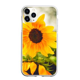Чехол для iPhone 11 Pro матовый с принтом Подсолнухи в Петрозаводске, Силикон |  | лето | подсолнух | солнце | цветы