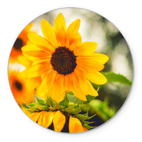 Коврик круглый с принтом Подсолнухи в Петрозаводске, резина и полиэстер | круглая форма, изображение наносится на всю лицевую часть | лето | подсолнух | солнце | цветы
