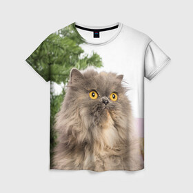 Женская футболка 3D с принтом Пушистый кот в Петрозаводске, 100% полиэфир ( синтетическое хлопкоподобное полотно) | прямой крой, круглый вырез горловины, длина до линии бедер | 