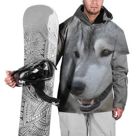 Накидка на куртку 3D с принтом Хаски в Петрозаводске, 100% полиэстер |  | собака | собаки | хаски