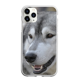 Чехол для iPhone 11 Pro матовый с принтом Хаски в Петрозаводске, Силикон |  | собака | собаки | хаски