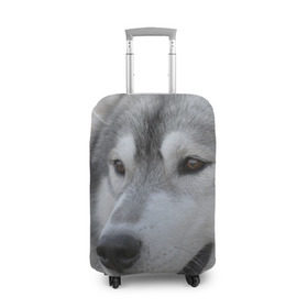 Чехол для чемодана 3D с принтом Хаски в Петрозаводске, 86% полиэфир, 14% спандекс | двустороннее нанесение принта, прорези для ручек и колес | собака | собаки | хаски