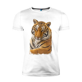 Мужская футболка премиум с принтом Тигр (retro style) в Петрозаводске, 92% хлопок, 8% лайкра | приталенный силуэт, круглый вырез ворота, длина до линии бедра, короткий рукав | tiger | дикая кошка | тигр | хищник
