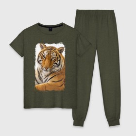 Женская пижама хлопок с принтом Тигр (retro style) в Петрозаводске, 100% хлопок | брюки и футболка прямого кроя, без карманов, на брюках мягкая резинка на поясе и по низу штанин | Тематика изображения на принте: tiger | дикая кошка | тигр | хищник