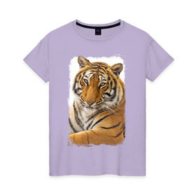 Женская футболка хлопок с принтом Тигр (retro style) в Петрозаводске, 100% хлопок | прямой крой, круглый вырез горловины, длина до линии бедер, слегка спущенное плечо | Тематика изображения на принте: tiger | дикая кошка | тигр | хищник