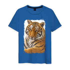 Мужская футболка хлопок с принтом Тигр (retro style) в Петрозаводске, 100% хлопок | прямой крой, круглый вырез горловины, длина до линии бедер, слегка спущенное плечо. | tiger | дикая кошка | тигр | хищник