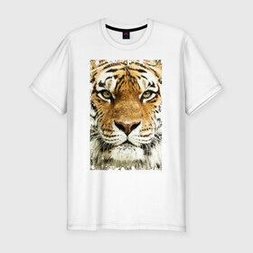 Мужская футболка премиум с принтом Тигр (retro style) в Петрозаводске, 92% хлопок, 8% лайкра | приталенный силуэт, круглый вырез ворота, длина до линии бедра, короткий рукав | tiger | дикая кошка | тигр | хищник