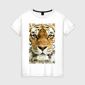 Женская футболка хлопок с принтом Тигр (retro style) в Петрозаводске, 100% хлопок | прямой крой, круглый вырез горловины, длина до линии бедер, слегка спущенное плечо | Тематика изображения на принте: tiger | дикая кошка | тигр | хищник