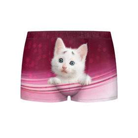 Мужские трусы 3D с принтом Белый котёнок в Петрозаводске, 50% хлопок, 50% полиэстер | классическая посадка, на поясе мягкая тканевая резинка | Тематика изображения на принте: киска | кот | котёнок | кошка | прикольные картинки