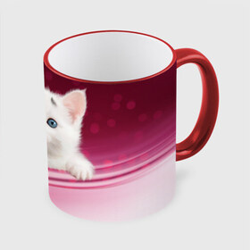 Кружка 3D с принтом Белый котёнок в Петрозаводске, керамика | ёмкость 330 мл | Тематика изображения на принте: киска | кот | котёнок | кошка | прикольные картинки